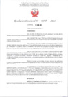 Vista preliminar de documento R.D. 718