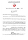 Vista preliminar de documento R.D. 720