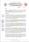 Vista preliminar de documento RESOLUCION N 246