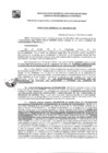 Vista preliminar de documento GDE-131-25