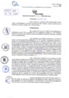 Vista preliminar de documento Resolución Directoral. N° 001002 - 2025 
