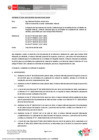 Vista preliminar de documento RD_108_2025_MINEM_DGAAM