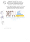 Vista preliminar de documento BASES