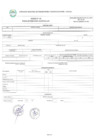 Vista preliminar de documento ANEXOS