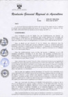 Vista preliminar de documento directiva001_2017