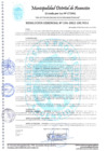 Vista preliminar de documento DIRECTIVA 001-2022 QUE REGULA EL PROCEDIMEINTO PARA LA ATENCION DE DENUNCIAS PRESENTADAS EN CONTRA DE LOS SERVIDORES
