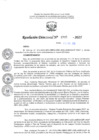 Vista preliminar de documento RDN 0985-2025
