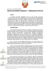 Vista preliminar de documento RGG Nº D000026-2025-GG