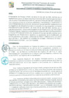 Vista preliminar de documento GDU-106-25