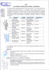 Vista preliminar de documento ACTA 1RA CONSULTA PUBLICA