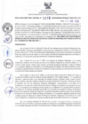 Vista preliminar de documento RDR N°272-2025-10-04-2025