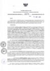 Vista preliminar de documento RDR N°274-2025-10-04-2025