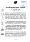 Vista preliminar de documento RER 208-2025-GOB
