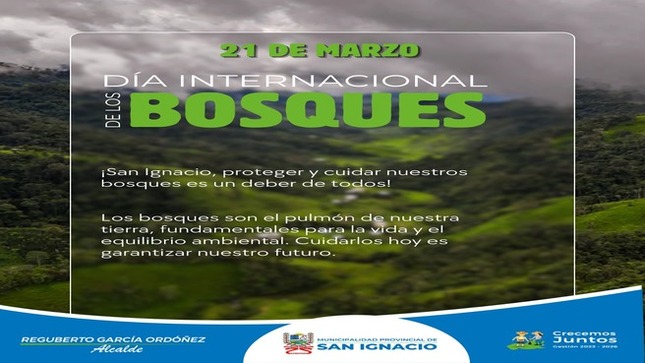 Dian internacional de los bosques