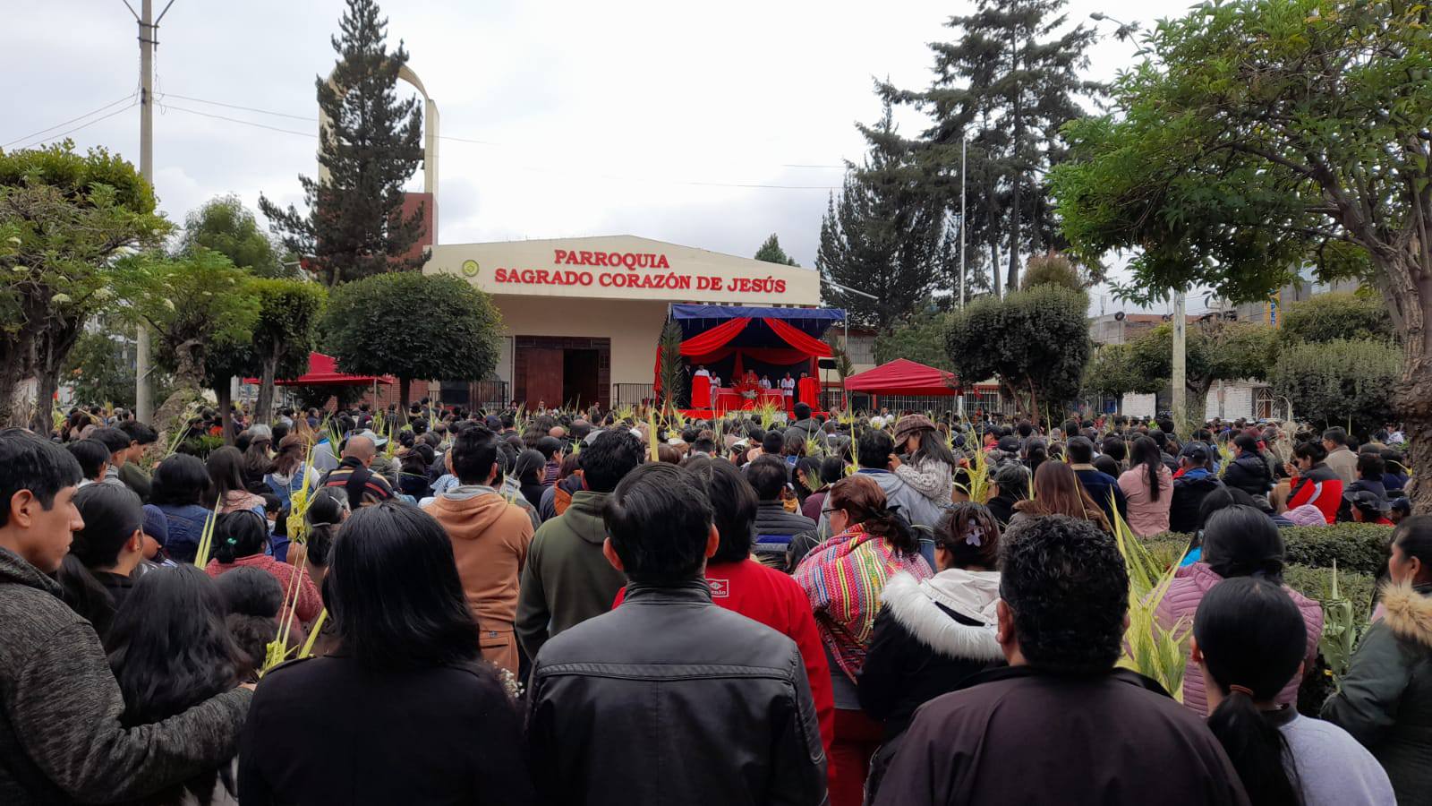 Misa y Bendición de Domingo de Ramos