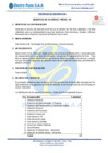 Vista preliminar de documento TDR - SERVICIO DE INTERNET MÓVIL 4G