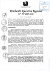 Vista preliminar de documento RER 207-2025-GOB