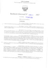 Vista preliminar de documento RD N° 317-2025