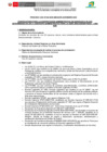 Vista preliminar de documento CAS-024-2025-BASES DEL PROCESO