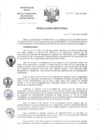 Vista preliminar de documento RD-1O4-2025-DG-INCN