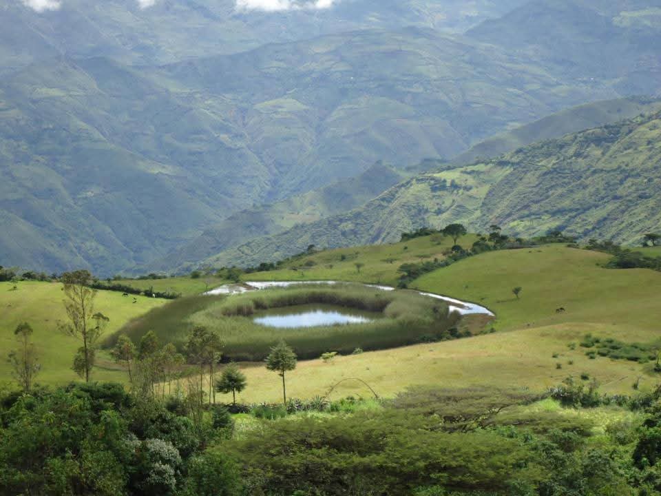GORE lanza convocatoria para construcción de ‘Canal Laguna de San Pablo’ que beneficiará a más de 350 agricultres de Pacaipampa