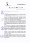 Vista preliminar de documento RD Nº 62-2025-DG-INSM