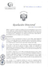 Vista preliminar de documento RD N°091-04-2025-DE-HCLLH-MINSA