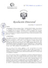 Vista preliminar de documento RD N°095-04-2025-DE-HCLLH-MINSA