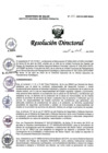 Vista preliminar de documento RD N° 133-2025-DG-INMP/MINSA