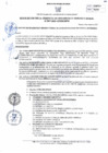 Vista preliminar de documento RGDUR-093-2025-MPHH