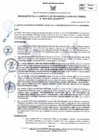 Vista preliminar de documento RGDUR-119-2025-MPHH