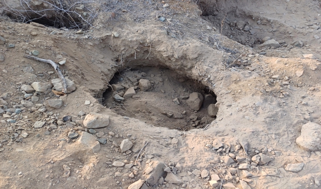 El huaqueo destruye la historia de Lambayeque 