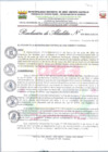 Vista preliminar de documento RA-439-2024