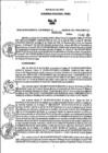 Vista preliminar de documento RGSR_2025_205