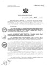 Vista preliminar de documento RD N°166-2025-HNCH-DG