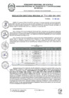 Vista preliminar de documento RDR 106-2025