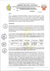 Vista preliminar de documento RESOLUCION N 252