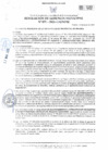 Vista preliminar de documento RGM-071-2025
