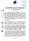 Vista preliminar de documento RER 216-2025-GOB