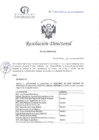 Vista preliminar de documento RD N°100-04-2025-DE-HCLLH-MINSA
