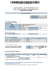 Vista preliminar de documento Primer Balance Semestral 2024 - Regidores