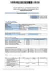 Vista preliminar de documento Segundo Balance Semestral 2024 - Regidores