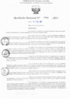 Vista preliminar de documento RD N° 739-2025