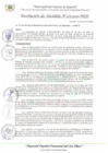 Vista preliminar de documento RA_123_2025_MDI