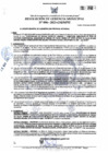 Vista preliminar de documento RGM-094-2025