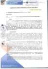 Vista preliminar de documento ACM041-2017