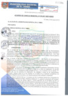 Vista preliminar de documento ACM070-2017