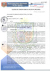 Vista preliminar de documento ACM062-2017