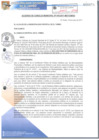 Vista preliminar de documento ACM010-2017