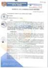 Vista preliminar de documento ACM052-2017